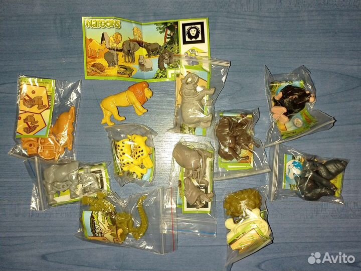 Kinder Funny Students II Natoons 2012