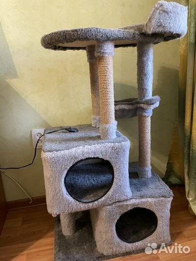 Когтеточка