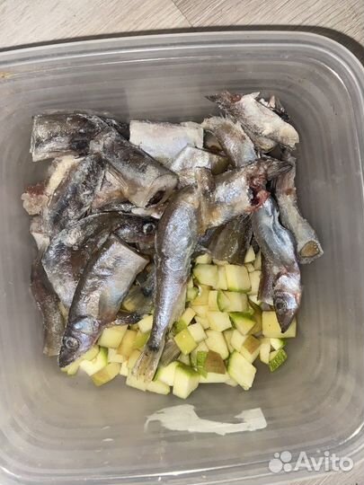 Готовый рацион для собак