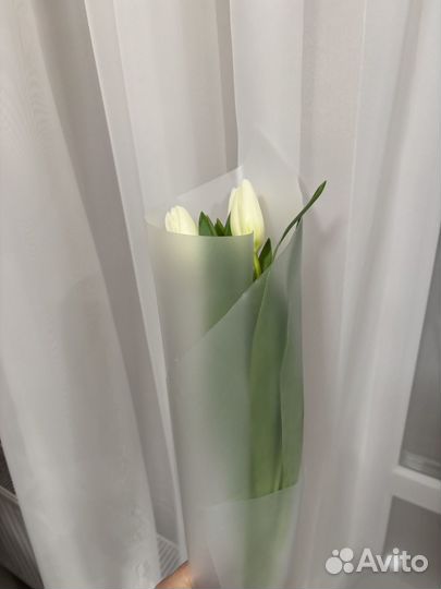 Тюльпаны букет экстра голландские