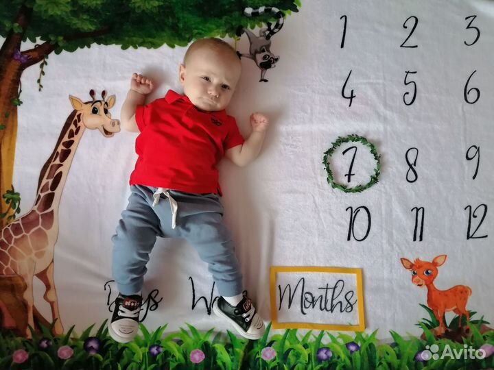 Фотоплед для фотосессии