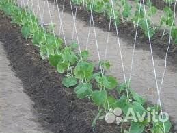 Теплица Южанка от производителя