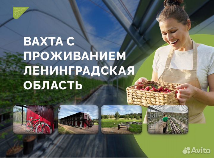 Работник склада