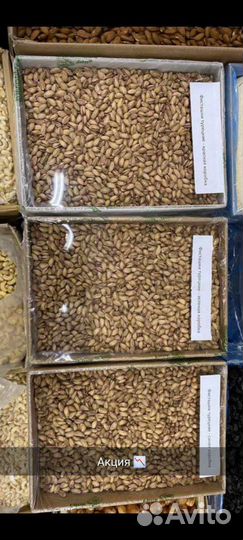 Мир сухофруктов