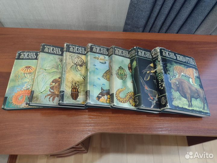 Жизнь животных энциклопедия