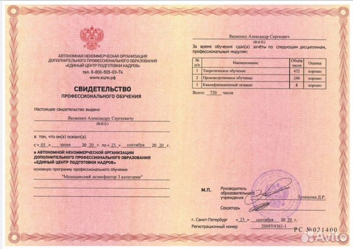 Уничтожение клопов тараканов клещей муравьёв блох