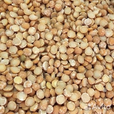 Корма для сельхоз животных