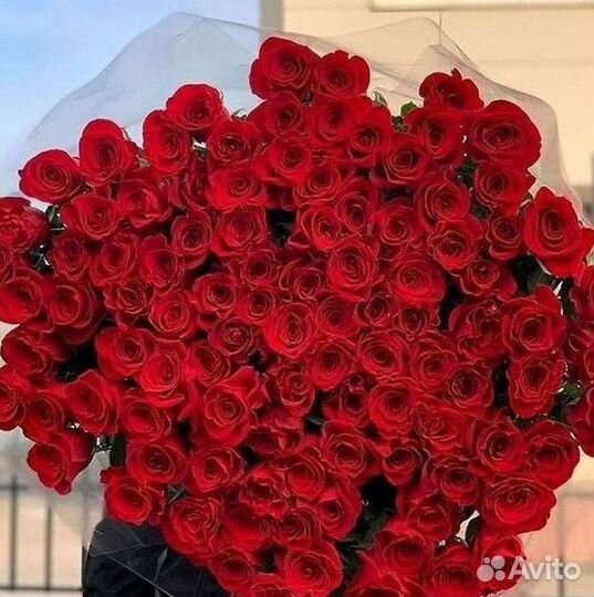 101 роза цветы букеты доставка 25 51 101 роза