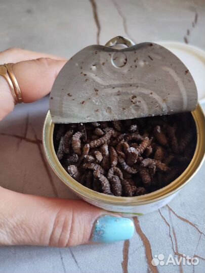 Корма для животных