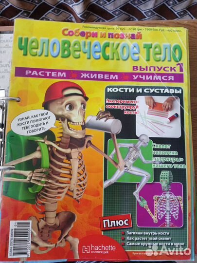 Журналы Человеческое тело