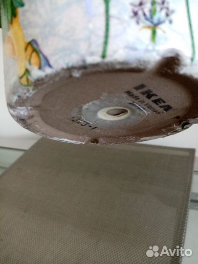 Фикус с горшком