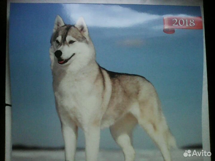 Календари за 2014, 2016, 2018, 2019 годы