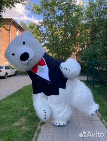 Дед Мороз и снегурочка / шоу 