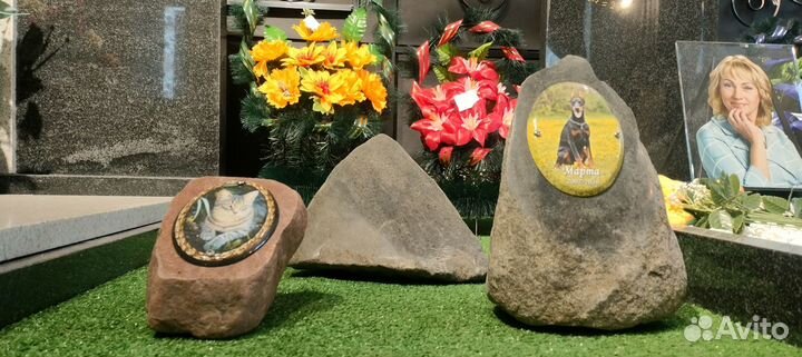 Памятник собаке, кошке и другим животным в Твери