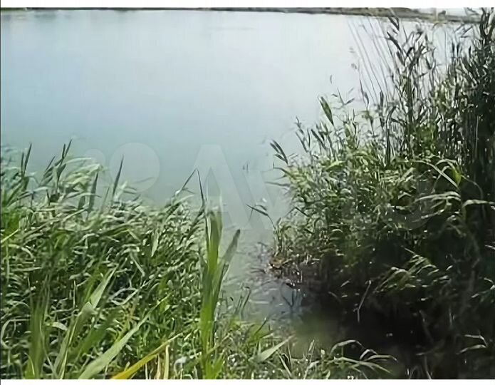 Участок 6 сот. (СНТ, ДНП)