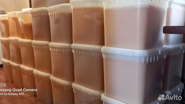 Мед оптом со своей пасеки