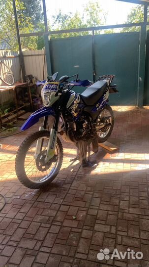 Рейсер пантера 300 эндуро