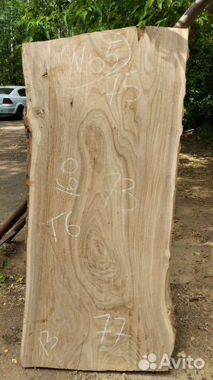 Слэб дерева Каповый карагач