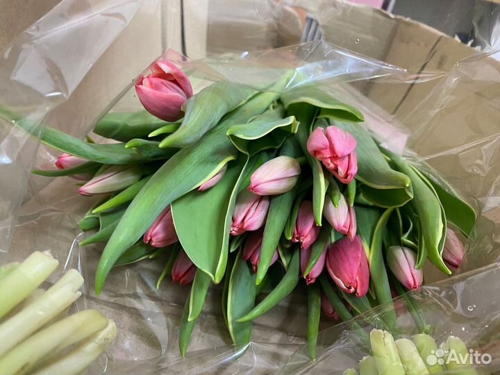 Тюльпаны опт цветы букеты