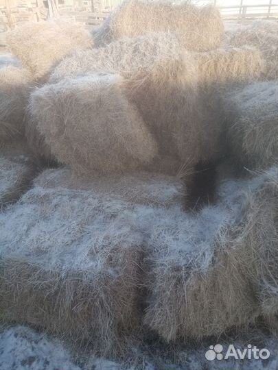 Сено в тюках