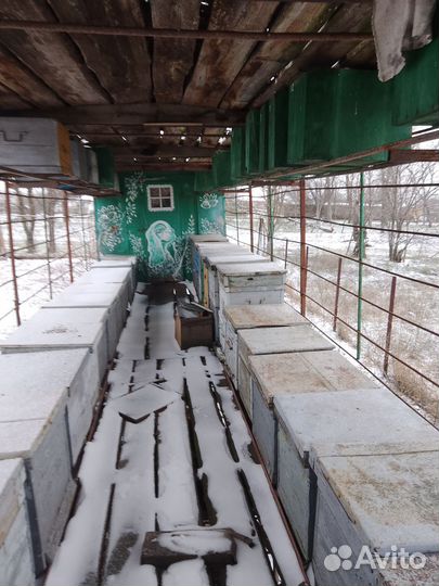 Пчелоприцеп