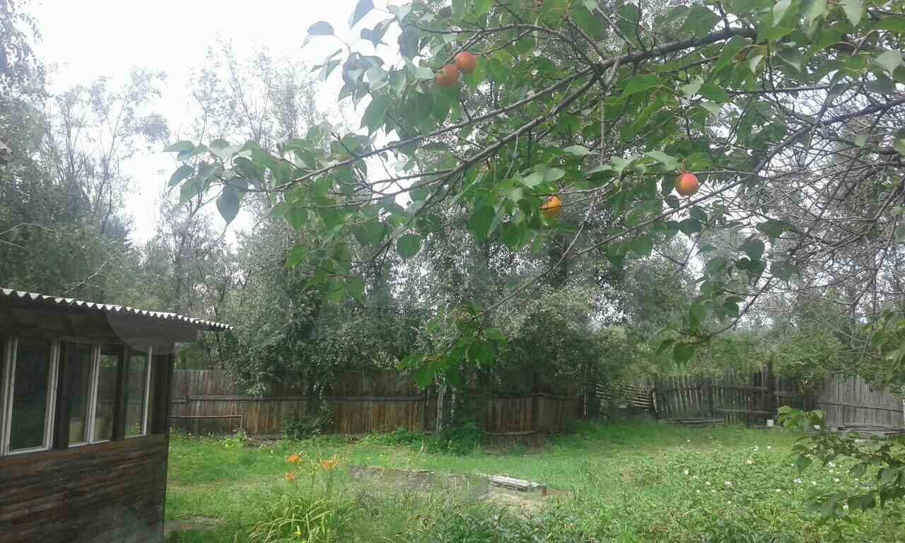 Участок 10 сот. (СНТ, ДНП)