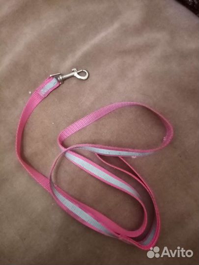 Поводок для маленьких собак