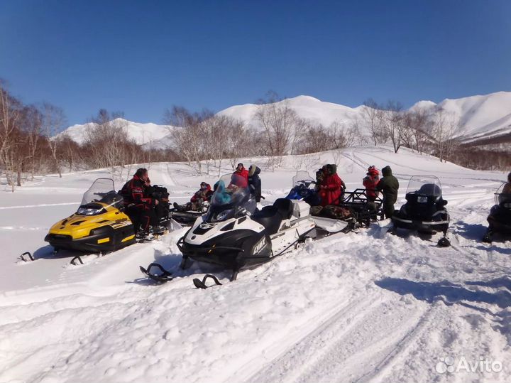 Камчатка зимняя