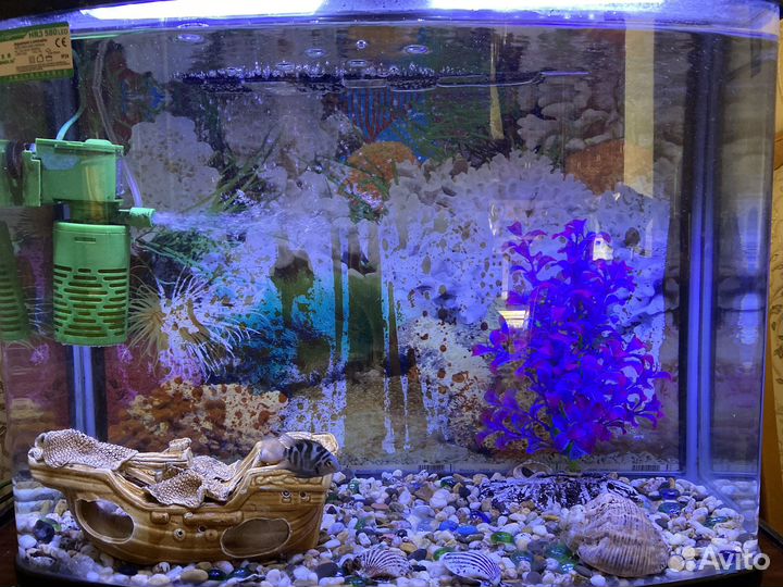 Аквариум