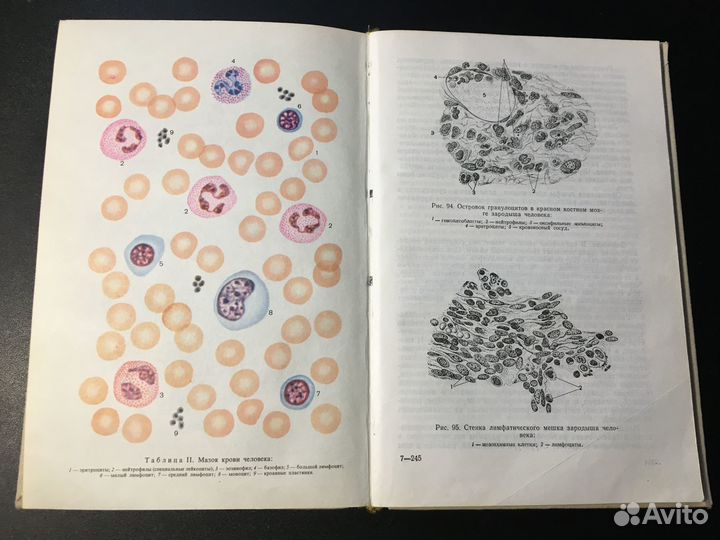 Гистология с основами эмбриологии, Мануилова, 1973