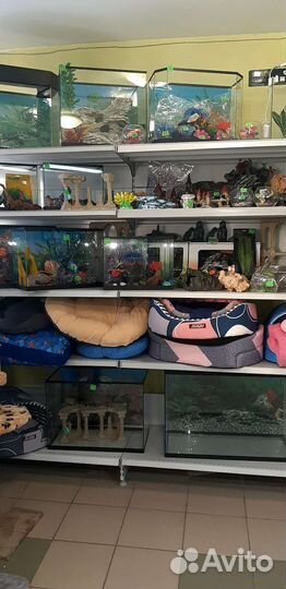 Товарные остатки