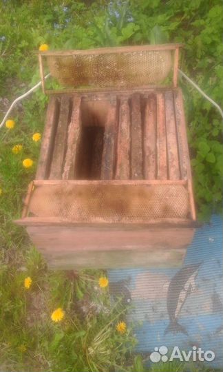 Ульи для пчел