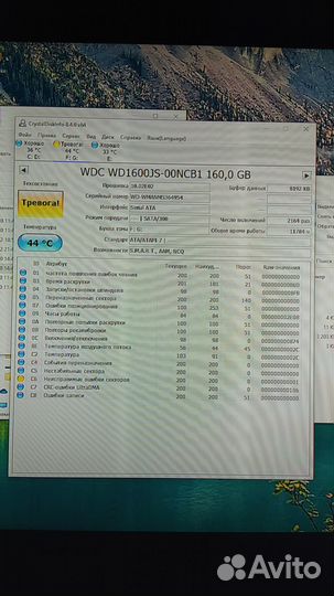 1 HDD WD1600J8 - 00NCB1 (160Gb) б/у