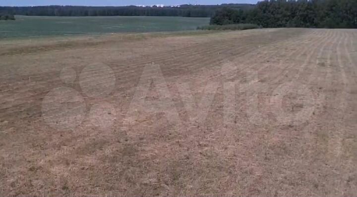 Участок 16 сот. (ИЖС)