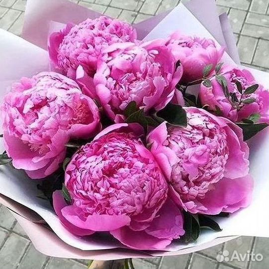 Пионы Букет пионов Доставка цветов