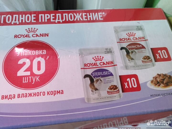 Royal Canin влажный корм для кошек