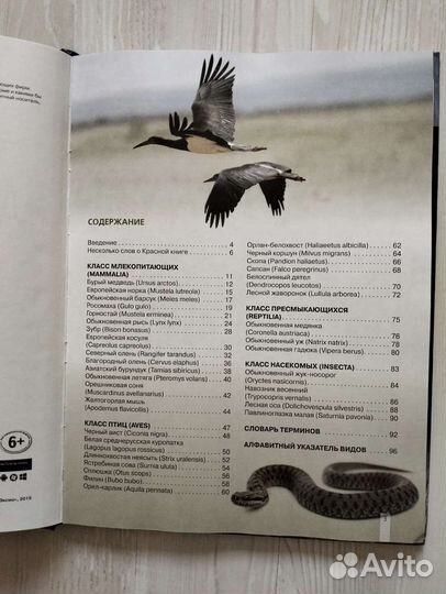 Красная книга. Дикие животные России
