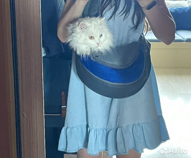 Переноска наплечная для кошки