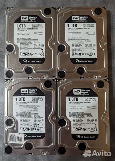 Western Digital Black 1TB