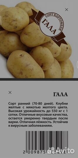 Картофель