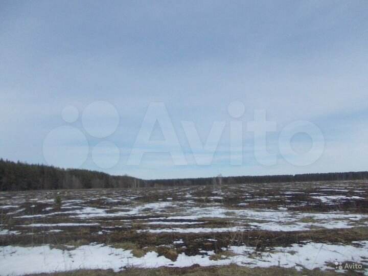 Участок 8,2 га (СНТ, ДНП)