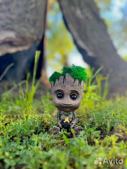 Кашпо грут со стабилизированныс мхом