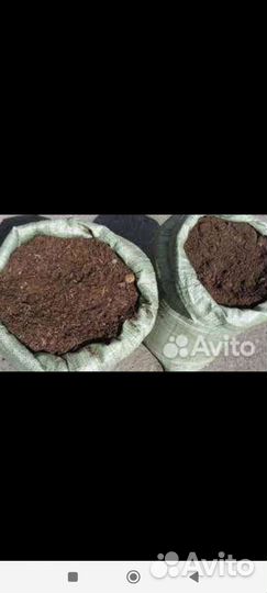 Продаю конский навоз