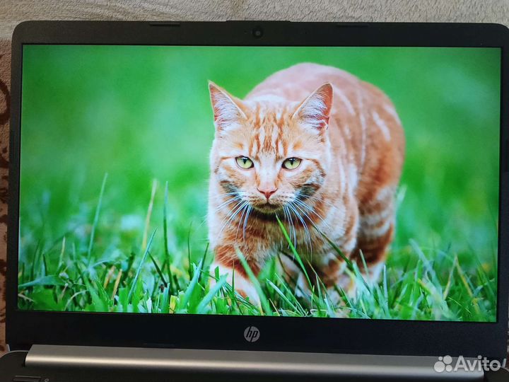 Ноутбук Hp 14