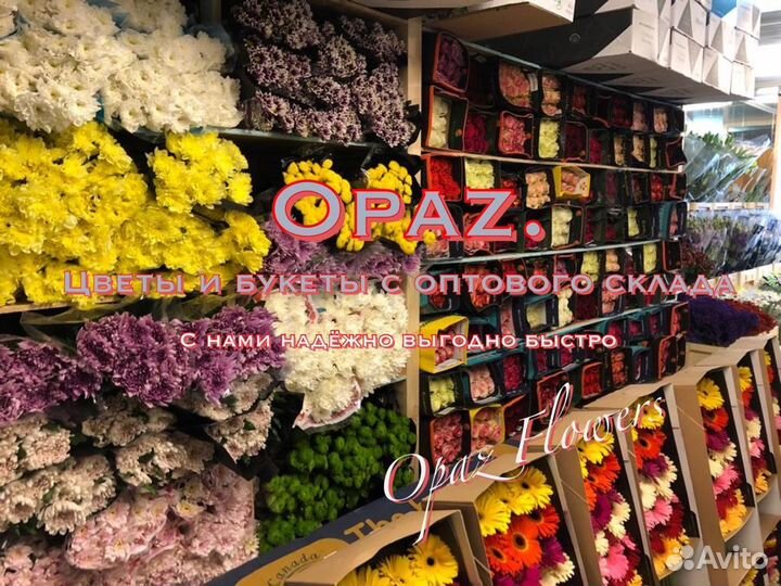 101 роза Букет Цветы Доставка