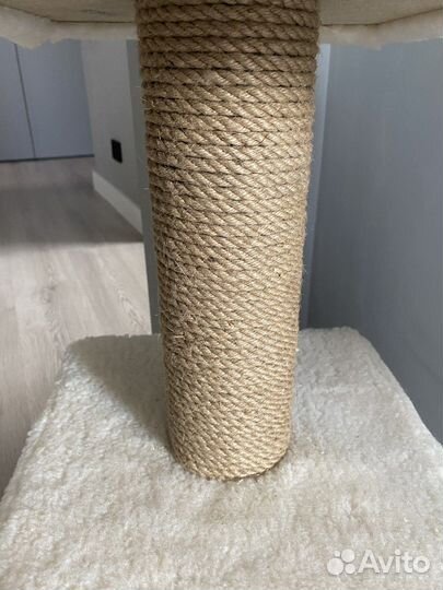 Когтеточка-домик