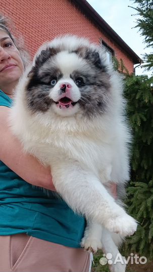 Мальчик красавчик