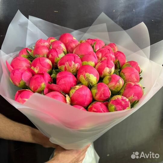 Букет из Пионов 51 С доставкой