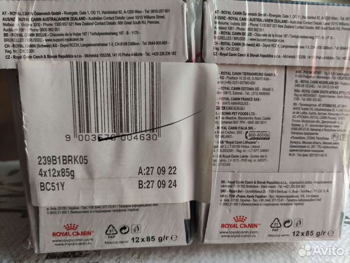 Влажный корм для кошек royal canin urinary