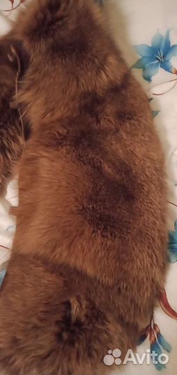 Меховой воротник